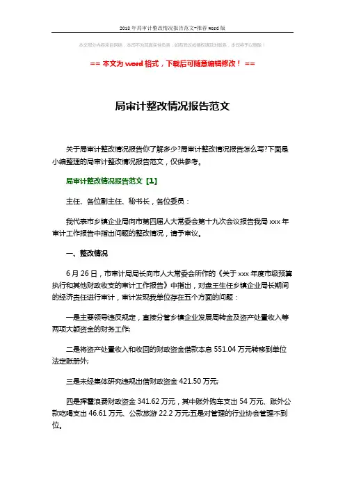 2018年局审计整改情况报告范文-推荐word版 (16页)