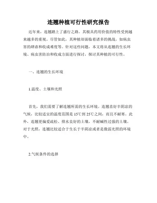 连翘种植可行性研究报告