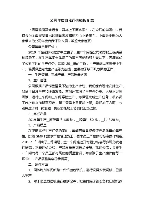 公司年度自我评价模板5篇