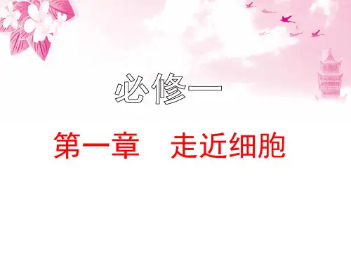 高中生物—走进细胞