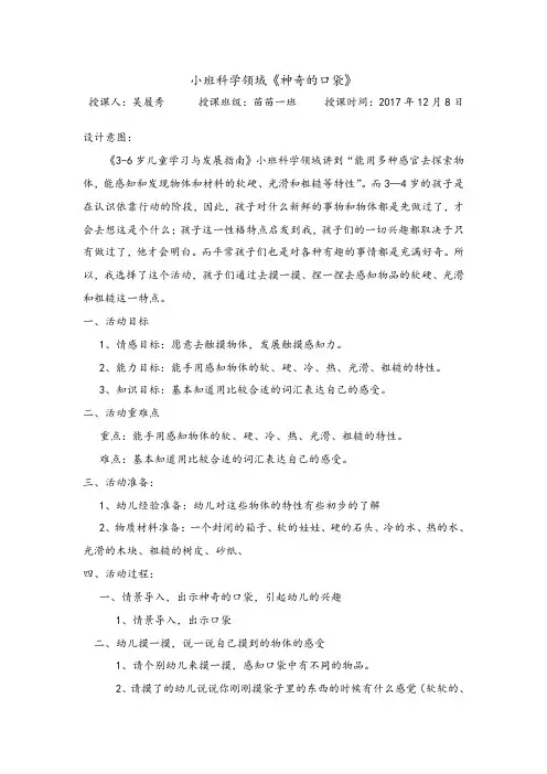 小班科学领域《神奇的口袋》