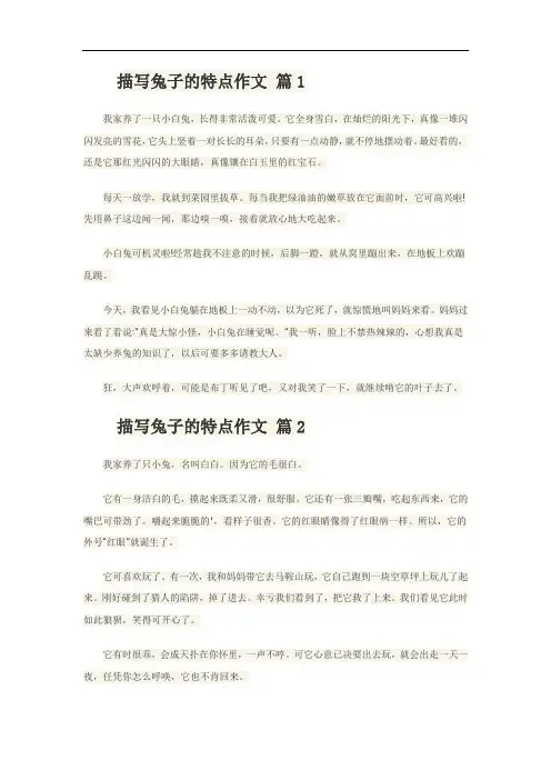 形容兔子的外形特点的作文