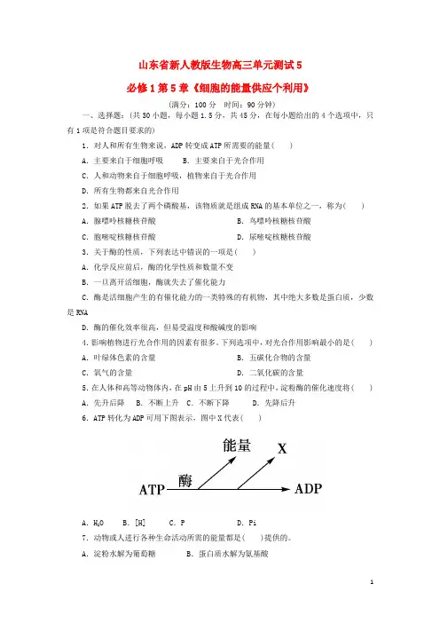 山东省高三生物单元测试5 第5章《细胞的能量供应个利用》 新人教版必修1