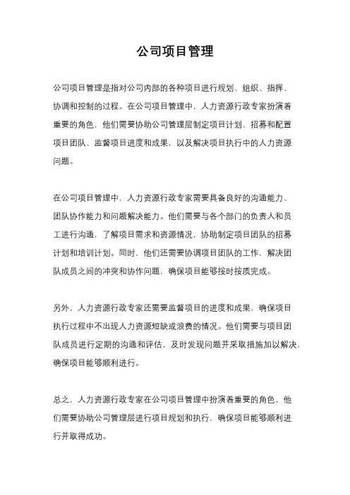 公司项目管理