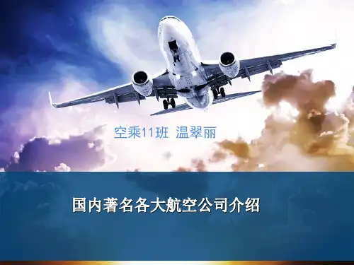 国际各大航空公司简介和图标