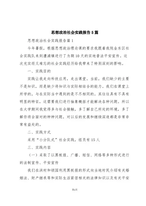 思想政治社会实践报告5篇