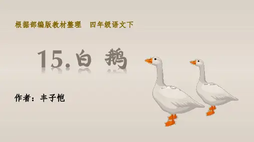 部编版四年级语文下册第15课《白鹅》精品课件
