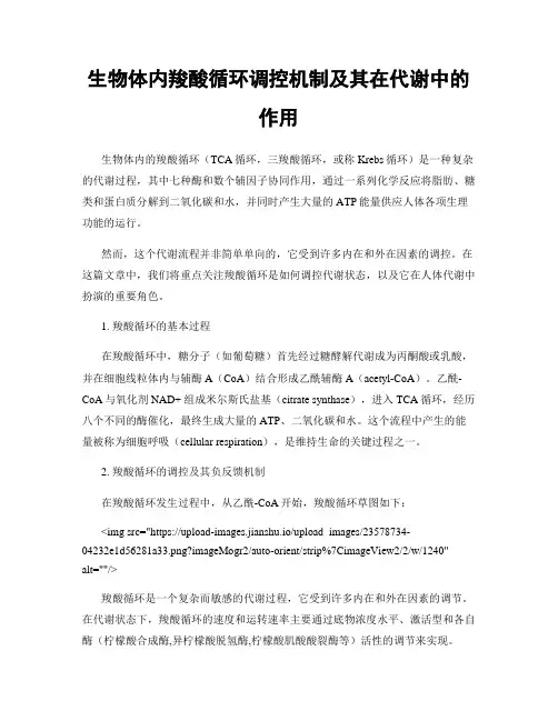生物体内羧酸循环调控机制及其在代谢中的作用