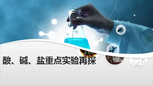 中考化学专题复习-酸、碱、盐重点实验再探 24张PPTPPT优秀课件