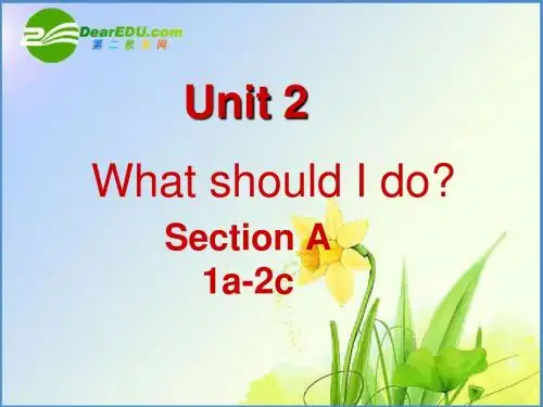八年级英语下册_unit2_what_should_I_do课件人教版.Section_A