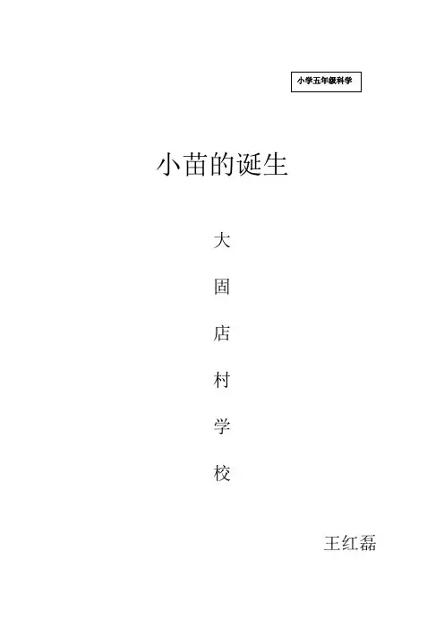 小苗的诞生