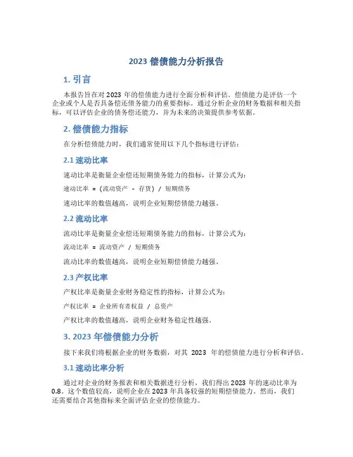 2023偿债能力分析报告