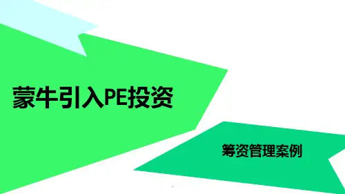 蒙牛引入pe投资案例分析PPT课件