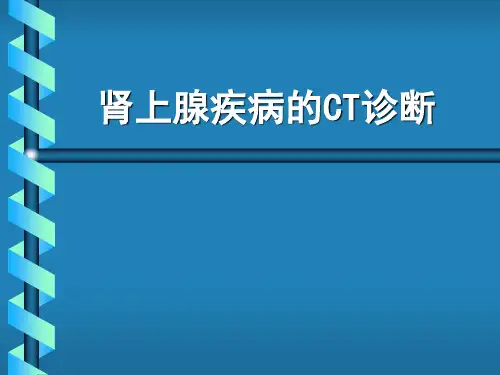 肾上腺疾病的CT诊断课件