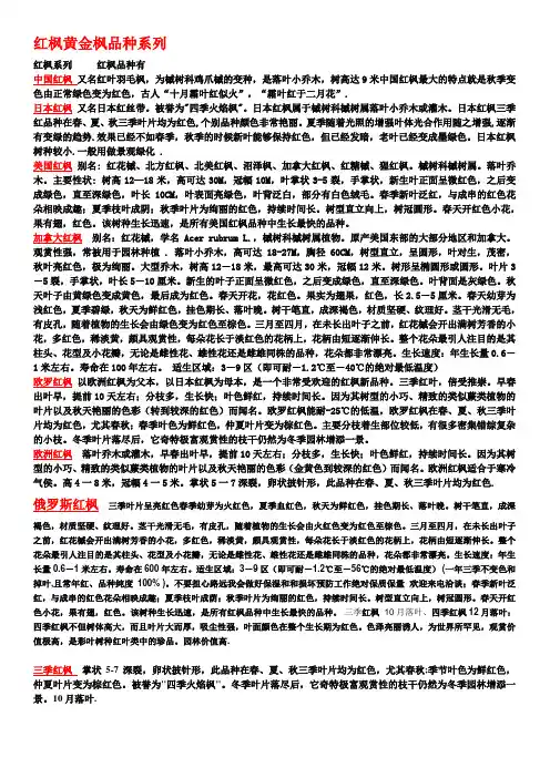 红枫黄金枫品种系列