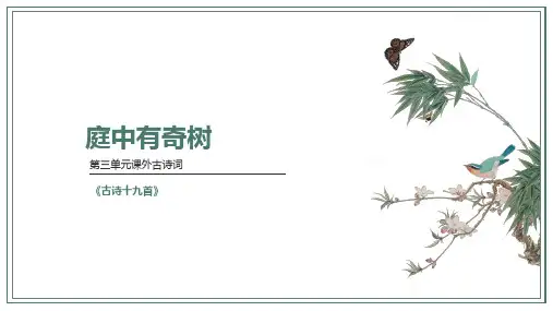 统编版语文八年级上册第三单元课外古诗词诵读《庭中有奇树》课件(共30张PPT)