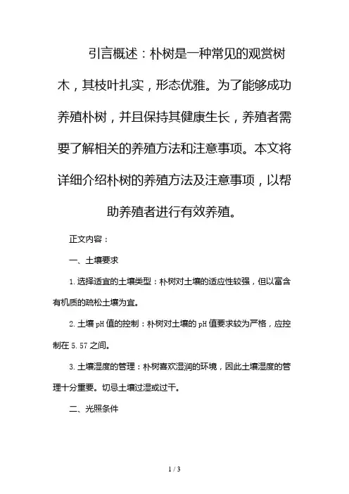 朴树的养殖方法及注意事项2024