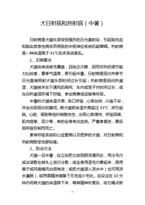 犬日射病和热射病(中暑)