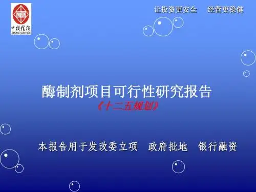 酶制剂项目可行性研究报告