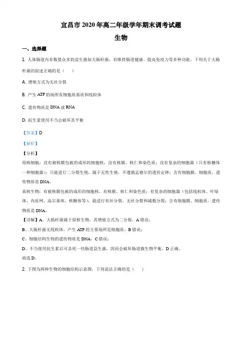 高二下学期期末生物试题(解析版)