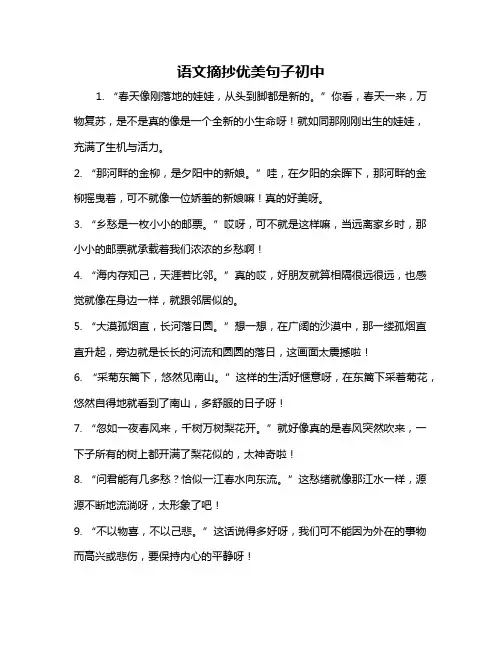 语文摘抄优美句子初中