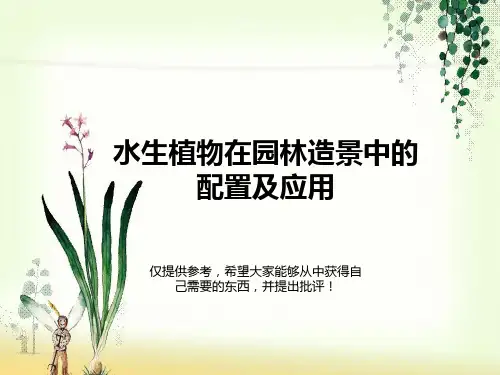 园林常用水生植物