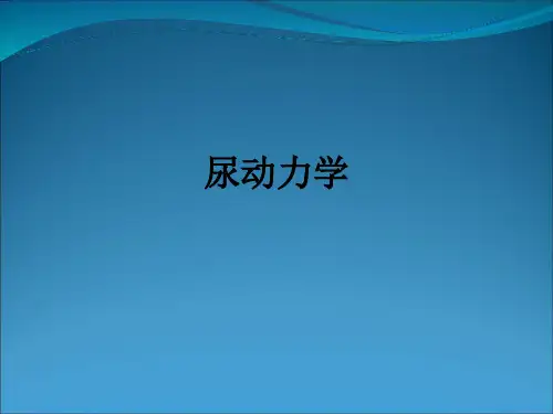 尿动力学ppt课件
