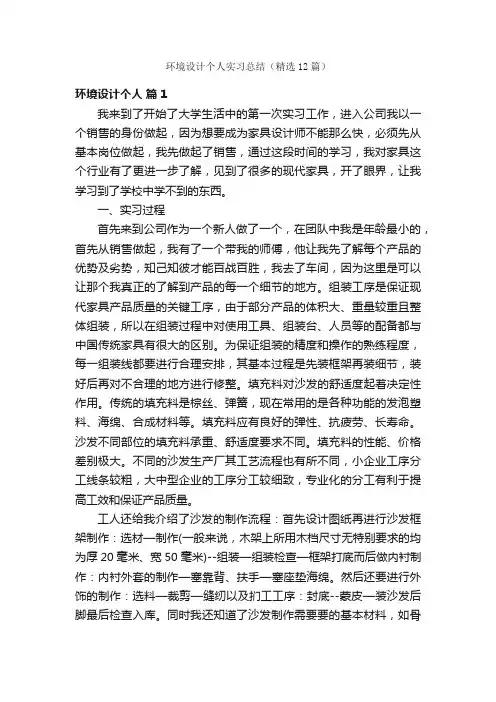 环境设计个人实习总结（精选12篇）