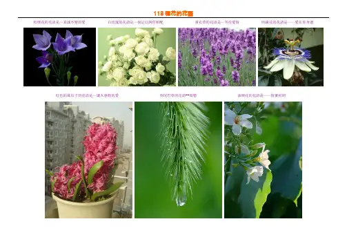 118种花的花语