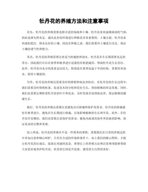 牡丹花的养殖方法和注意事项