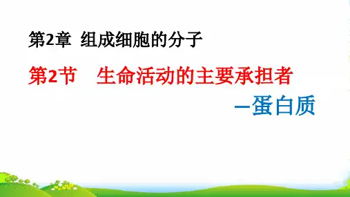 人教版高一生物必修一课件：第二章第2节生命活动的主要承担者2