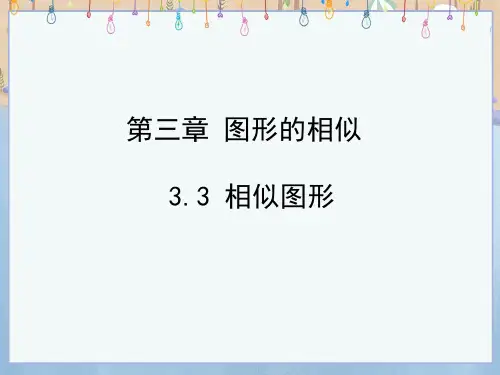湘教版九年级上册数学《3-3 相似图形》课件