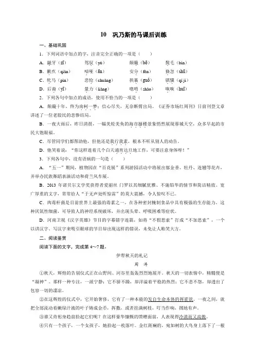课后训练{10 巩乃斯的马}