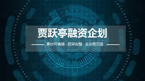 贾跃亭融资企划ppt
