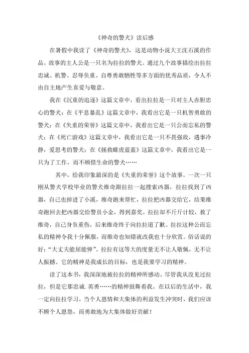 神奇的警犬