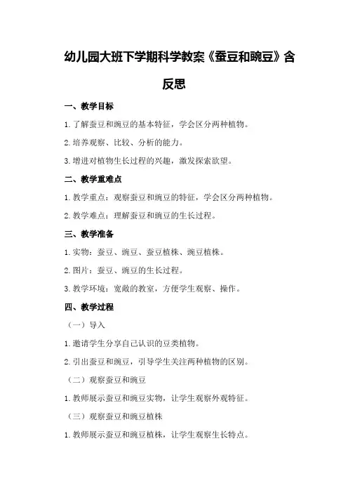 幼儿园大班下学期科学教案《蚕豆和豌豆》含反思