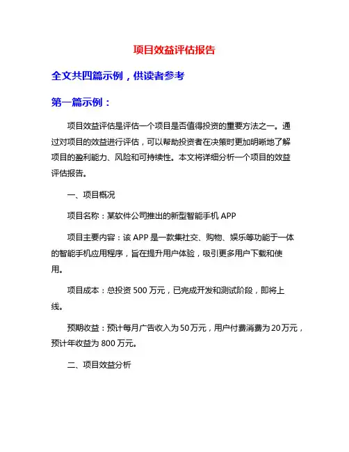 项目效益评估报告