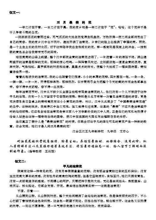 油菜花征文作文九篇