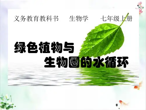 人教版初中生物《生物圈》PPT全文课件