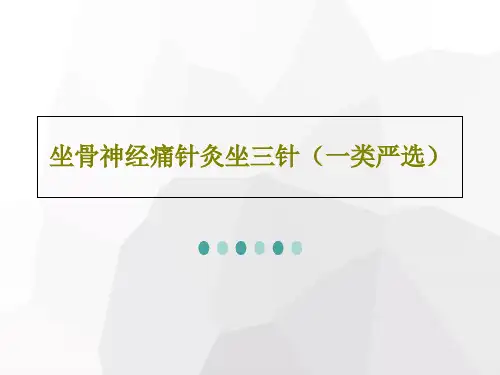 坐骨神经痛针灸坐三针(一类严选)23页PPT