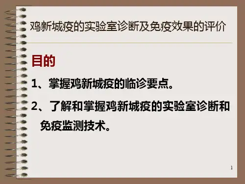 鸡新城疫血凝和血凝抑制实验PPT课件