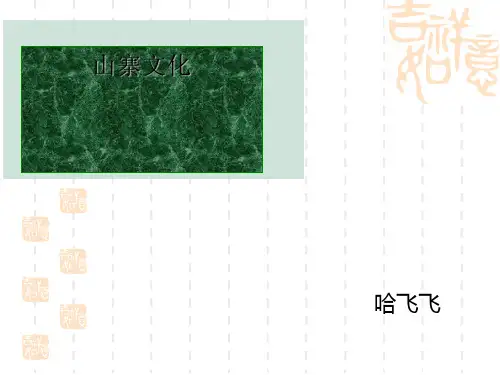 山寨文化 PPT课件