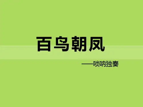 《百鸟朝凤》课件PPT