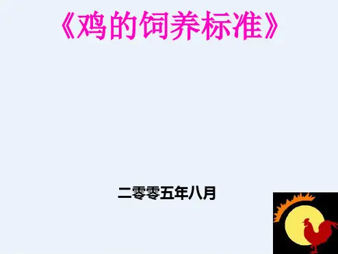 鸡饲养标准