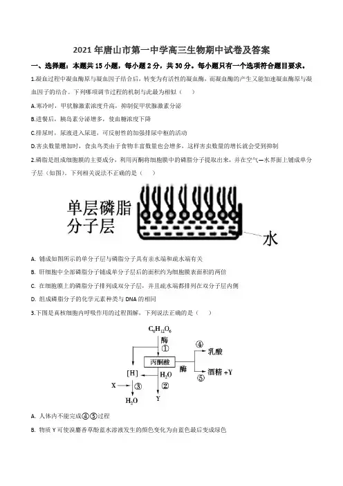 2021年唐山市第一中学高三生物期中试卷及答案