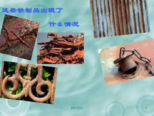 苏教版六年级科学《铁钉生锈了》  ppt课件