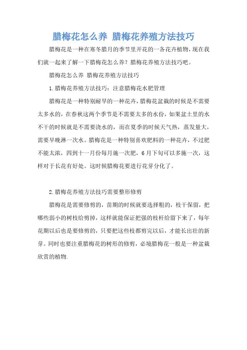 腊梅花怎么养 腊梅花养殖方法技巧