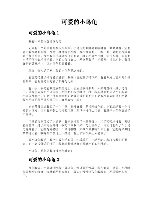 可爱的小乌龟