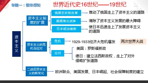 世界历史专题复习 2025届初中历史中考一轮复习
