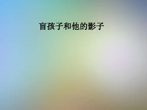 盲孩子和他的影子